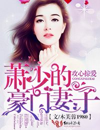 至尊仙婿
