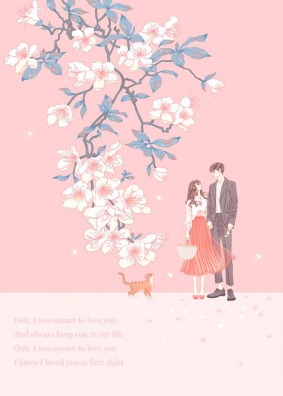 女总裁的无敌狂婿