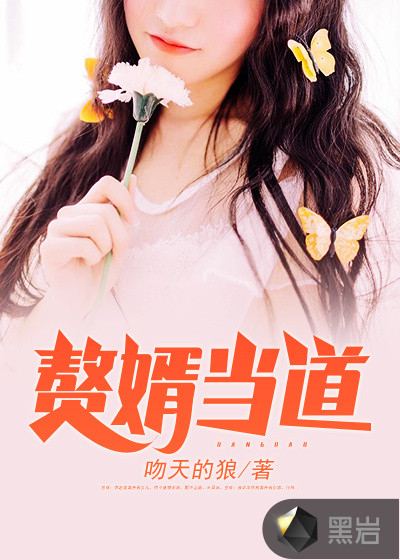 赘婿当道岳风小说