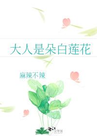 大人是朵白莲花