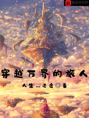 穿越万界的旅人