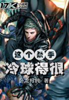 高手Pro