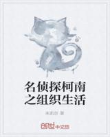 名侦探柯南之组织生活